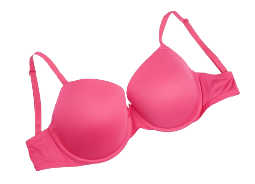 Rich Rose Women's Bra – Plush Comfort with a Bold Touch