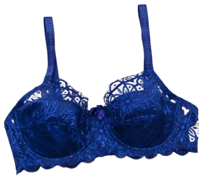 Royal Blue Sheer Mesh Bra